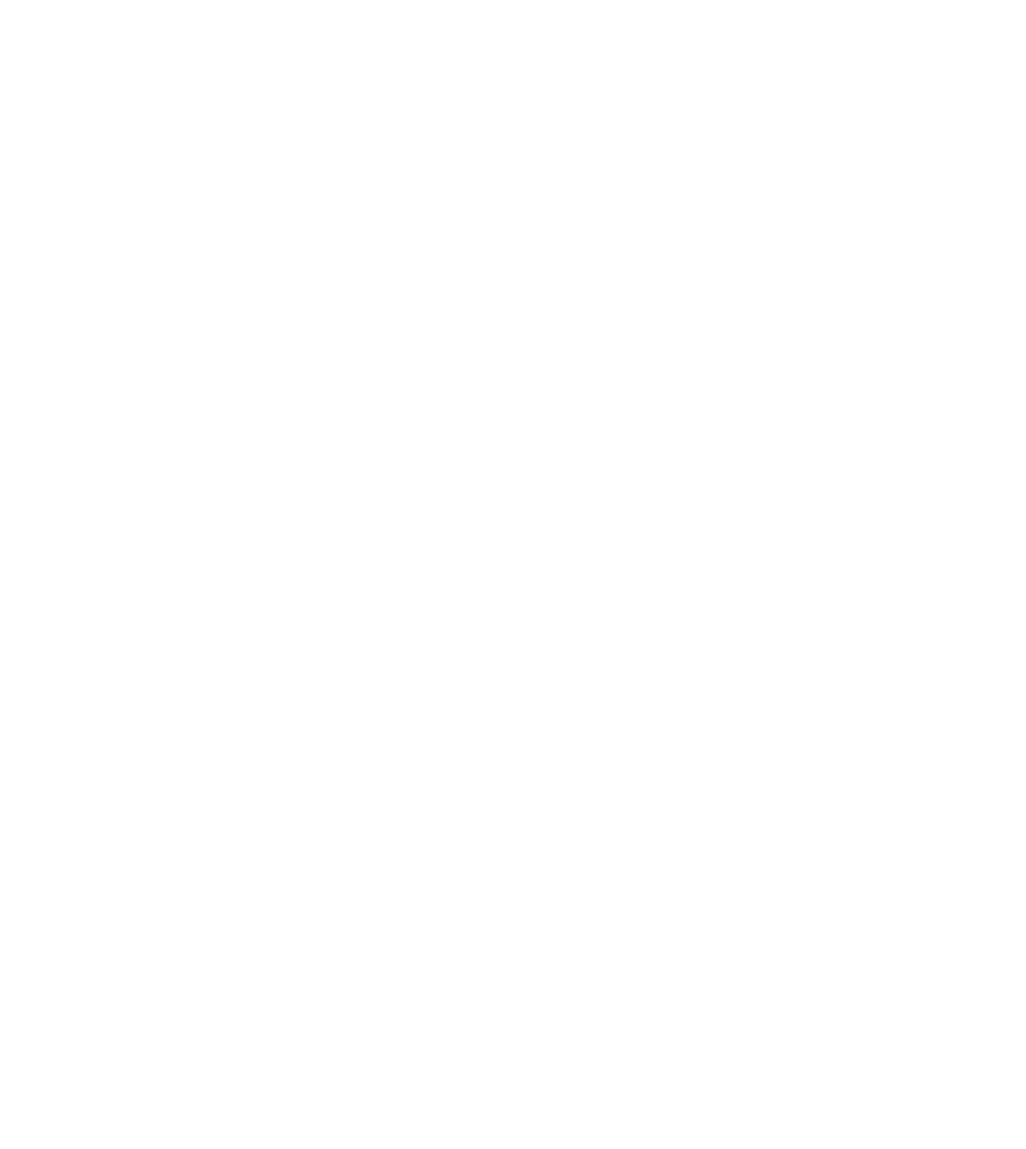 Zinser Agencia Aduanal